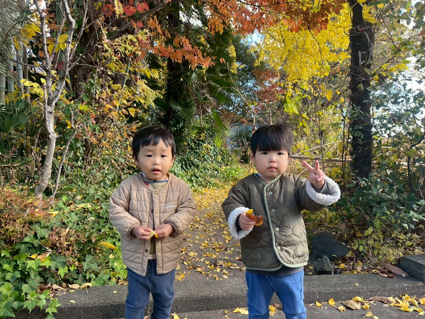 フォトアルバム