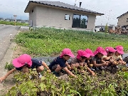 ゆき組じゃがいも掘り