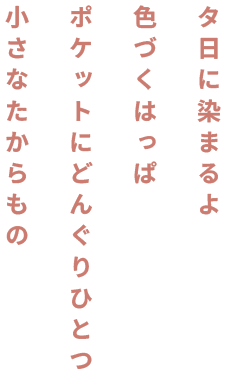 タ日に染まるよ 色づくはっぱ ポケットにどんぐりひとつ 小さなたからもの