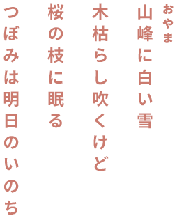 山峰に白い雪 木枯らし吹くけど 桜の枝に眠る つぼみは明日のいのち